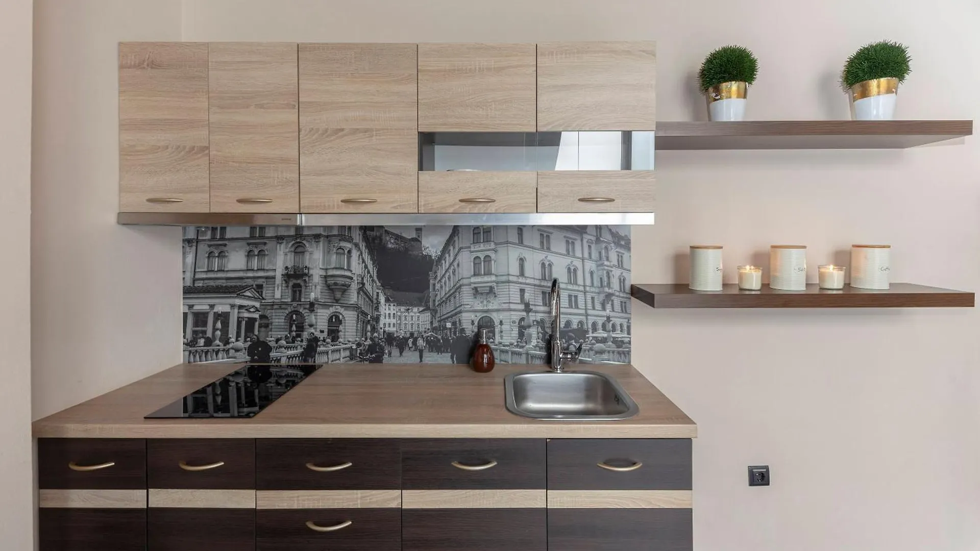 Apartma Relax Gaja - In The Most Beautiful City In The World Ljubljana 0*,